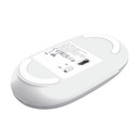 Trust Seron Slim Multi mouse Ufficio Ambidestro RF senza fili + Bluetooth Ottico 3200 DPI
