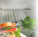 Hisense frigorifero/congelatore RB440N4ACD libera installazione 336L Classe D Porta Reversibile