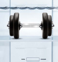 Hisense frigorifero/congelatore RB440N4ACD libera installazione 336L Classe D Porta Reversibile