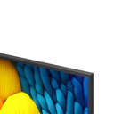 LG NanoCell AI 55NANO81A6A TV Serie NANO81 55'' 4K, α7 Gen8, HDR10, 20W, 3 HDMI con Game Optimizer, Smart TV WebOS 25