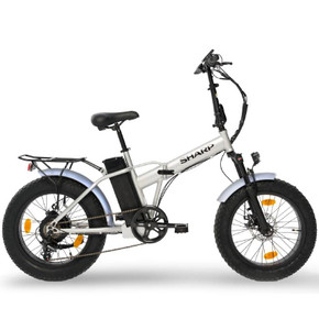 Bicicletta Elettrica Pieghevole Fat Bike BK-FM01-ES 36V 10Ah