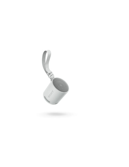Sony SRS-XB100 - Speaker Wireless Bluetooth, portatile, leggero, compatto, da esterno, da viaggio, resistente IP67 impermeabile e antipolvere, batteria da 16 ore, cinturino versatile, chiamate in vivavoce - Grigio