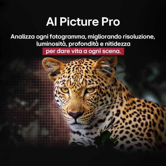 LG OLED evo AI OLED77C55LA TV Serie C5 77'' 4K, α9 Gen8, Brightness Booster, 40W, 4 HDMI, VRR 144Hz, Smart TV WebOS 25
