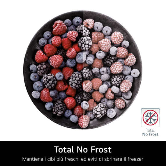 LG GBBSJ20DPY Libera installazione 375 L Acciaio inox