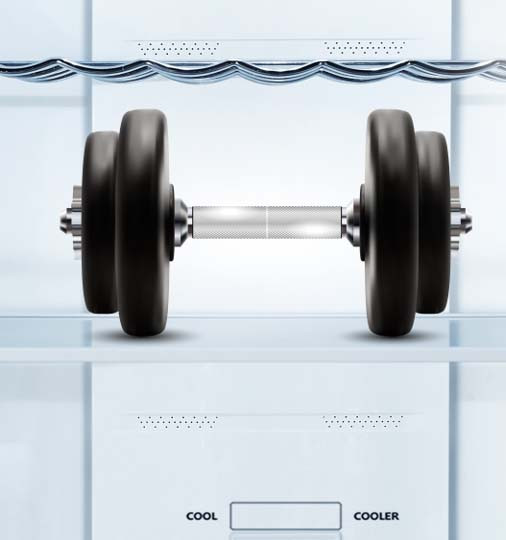 Hisense frigorifero/congelatore RB440N4ACD libera installazione 336L Classe D Porta Reversibile