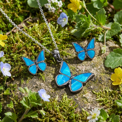 Blue morpho butterfly set
