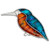 Tide Jewellery inlaid orange & blue Paua shell Kingfisher brooch