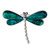 Tide Jewellery inlaid blue Paua shell dragonfly brooch