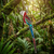 Tide Jewellery inlaid red Paua shell perched Macaw pendant