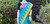 Sky Blue with Yellow and Pink border Monipuri Tant Saree
