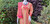 Light Yellow and Magenta Monipuri Salwar Kameez - Small