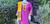 Magenta and Yellow Monipuri Salwar Kameez - XXLarge