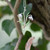 Silver Plated Snowdrop Flower Pendant