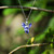 Silver Plated Iris Pendant