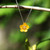 Silver Plated Mini Buttercup Pendant