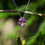 Pansy Purple Flower Necklace