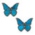 Blue morpho butterfly earrings