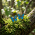 Blue morpho butterfly earrings