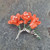 Freesia Orange Flower Brooch
