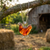 Hen necklace