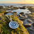 Paua Shell Spiral necklace
