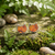 Paua Shell Ginger cat earrings