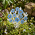 Silver Plated Forget me not flower bouquet brooch