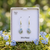 Silver Plated Forget Me Not Flower Earrings