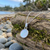 Paua Shell White round necklace