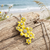 Silver Plated Daffodil Flower Cluster Pendant Necklace