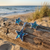 Tide Jewellery inlaid blue Paua shell Star pendant and earring set