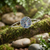 Tide Jewellery inlaid Paua shell Celtic Tree of Life bangle