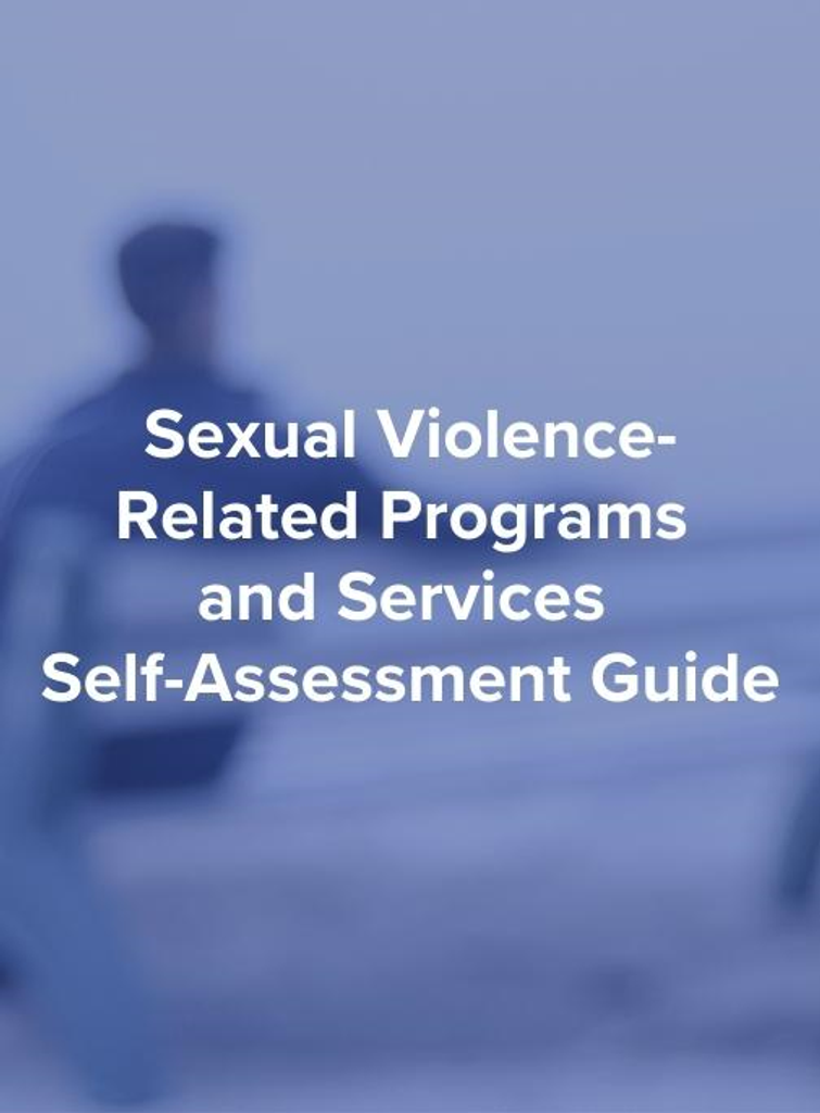 Sexual Violence-Related Programs and Services Self-Assessment Guide (SAG)