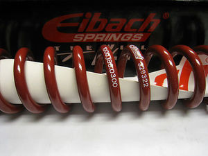 Legends Race Car, Thunder Roadster, Eibach Spring 10"
