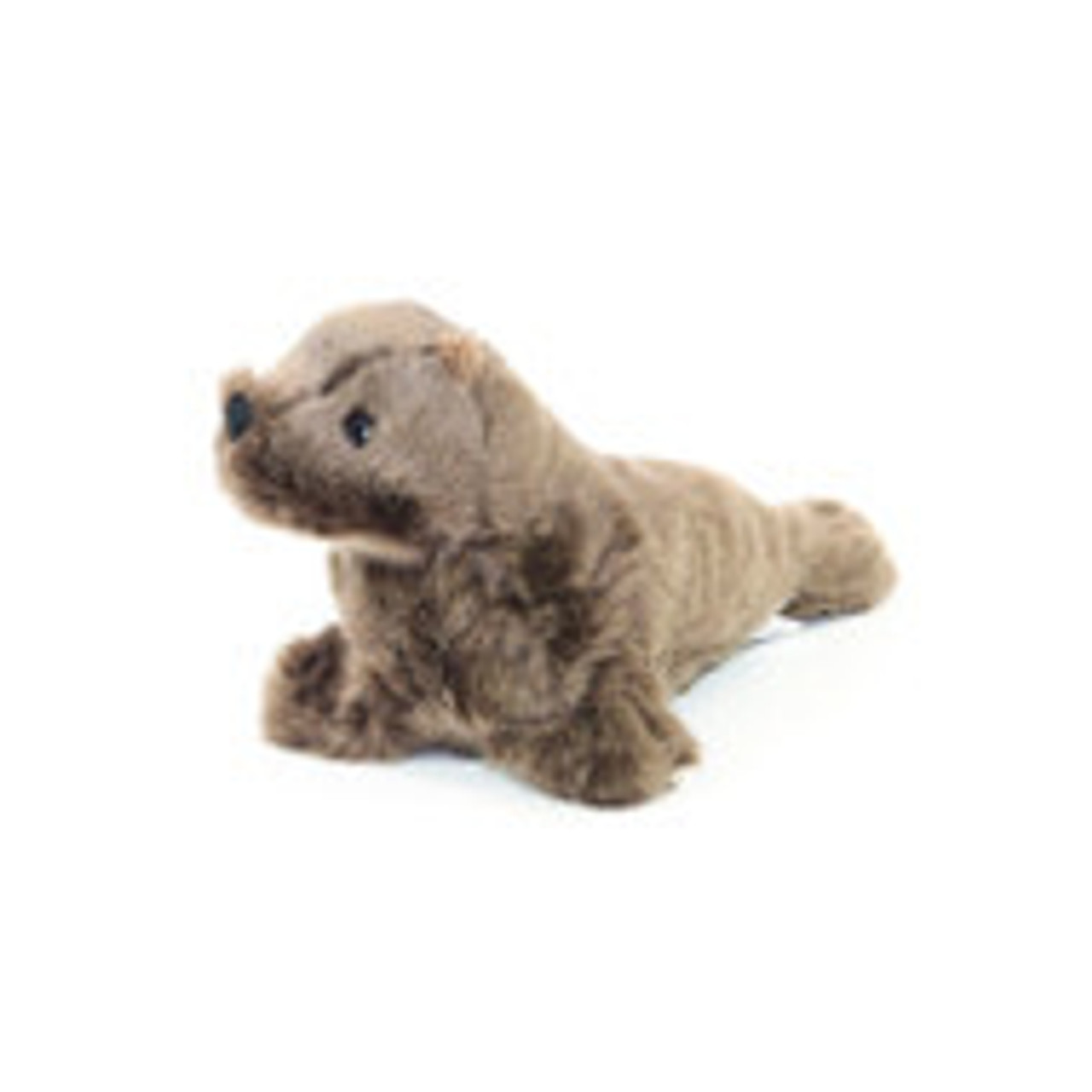 Seals, Sea Lions and Walruses