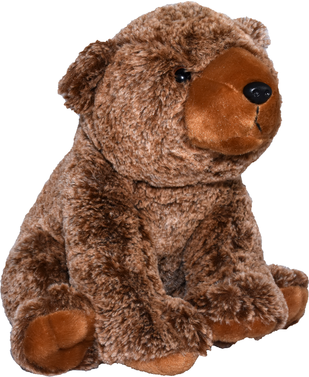 bear stuffy
