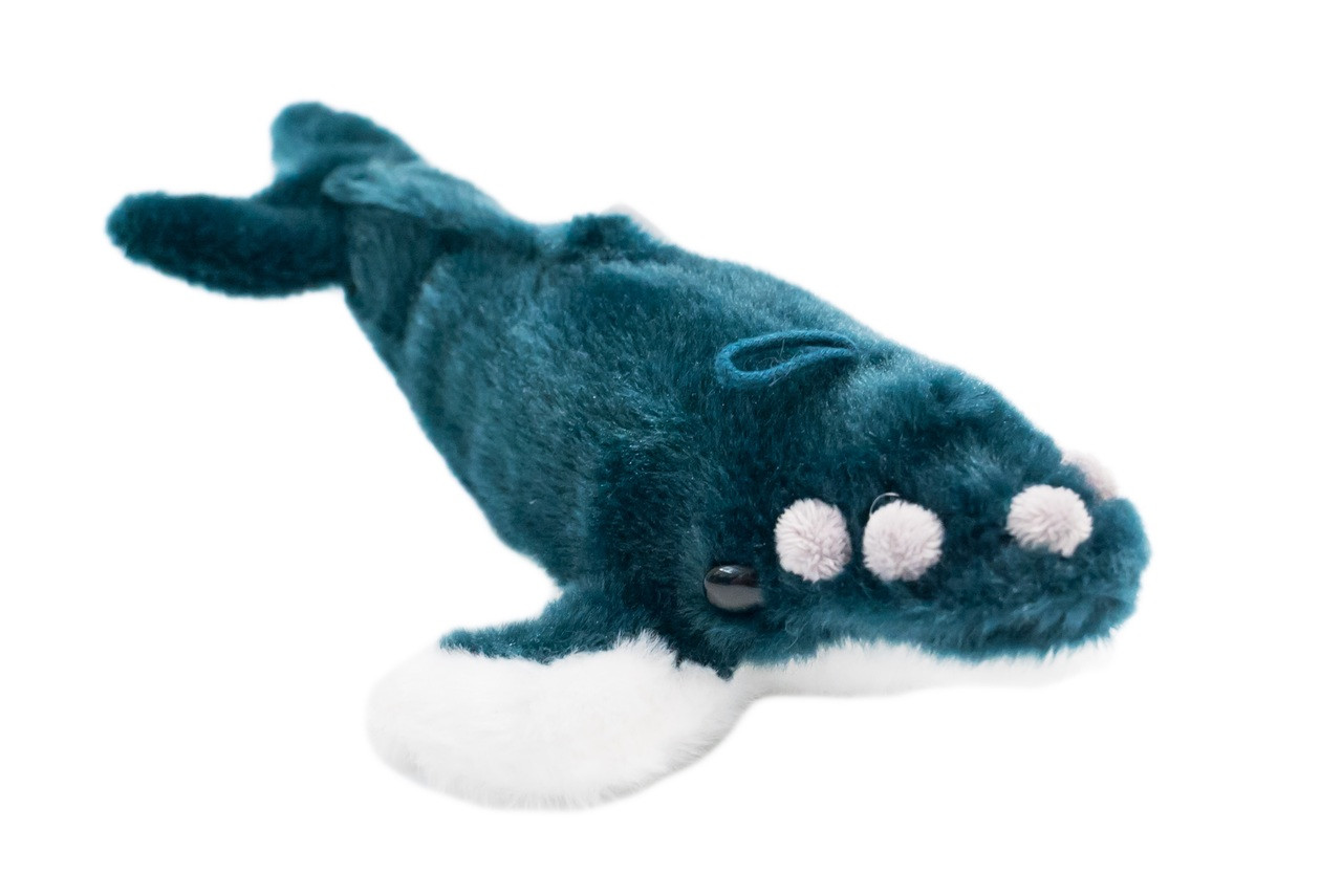 humpback whale stuffed animal