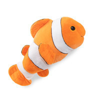 Clownfish