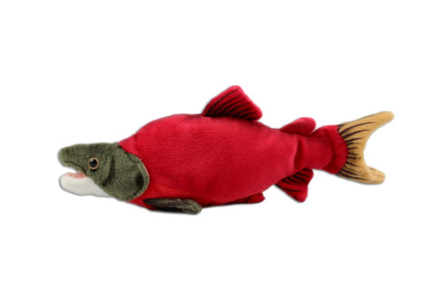 Sockeye Salmon Stuffy Sockeye Salmon Stuffy