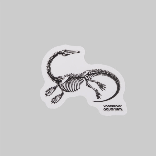 Sticker Plesiosaurus Skeleton