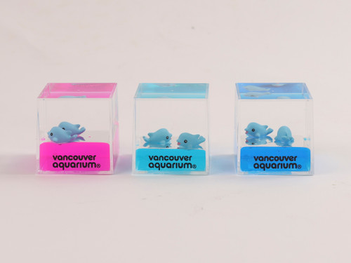 Dolphin Liquid Cube