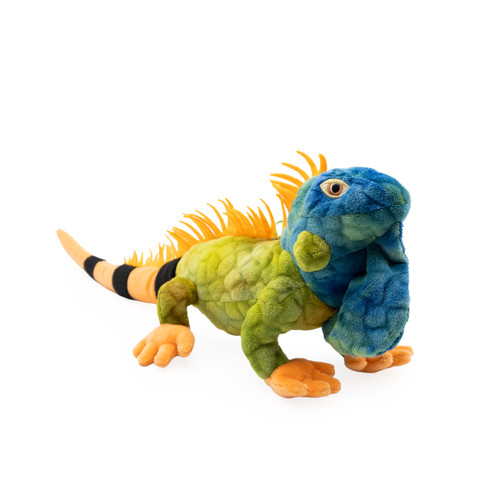 Iguana 18" front