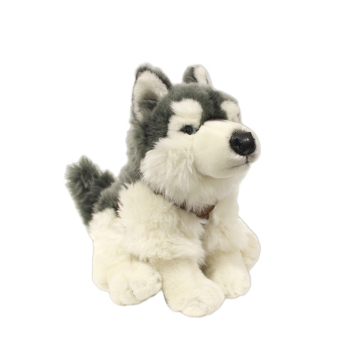 Husky Sitting Stuffy