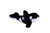 Killer Whale Stuffy 10.5"