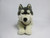 Meet our Lying Husky! This stuffed Husky is plastic free.Many stuffed animals contain pouches of plastic beads (nurdles), the same ones we find on shorelines, and in the ocean; that’s why we’ve eliminated these pouches, and only offer nurdle-free hugs!  We even hand sew our hang tags and use fabric for hanging rather than using the small plastic hook tags.

Your purchase directly supports our efforts to protect our oceans.