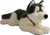 Meet our Lying Husky! This stuffed Husky is plastic free.Many stuffed animals contain pouches of plastic beads (nurdles), the same ones we find on shorelines, and in the ocean; that’s why we’ve eliminated these pouches, and only offer nurdle-free hugs!  We even hand sew our hang tags and use fabric for hanging rather than using the small plastic hook tags.

Your purchase directly supports our efforts to protect our oceans.
