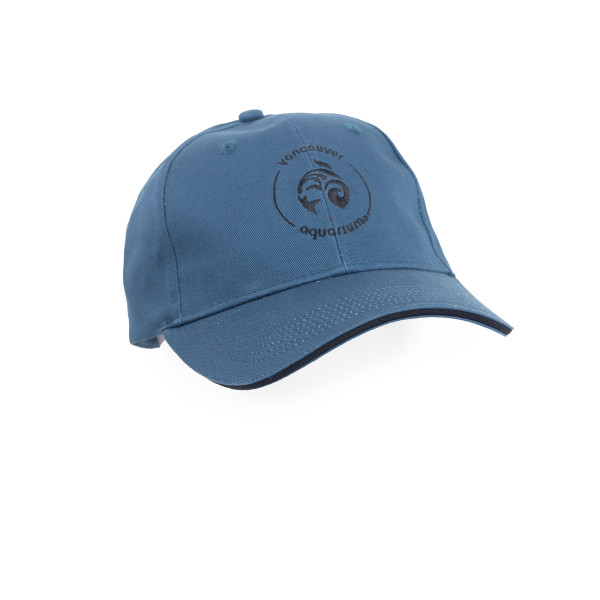Adult Hat VA Logo Blue