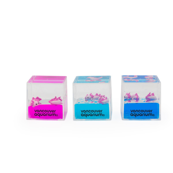 Liquid Paperweight Axolotl Square 
