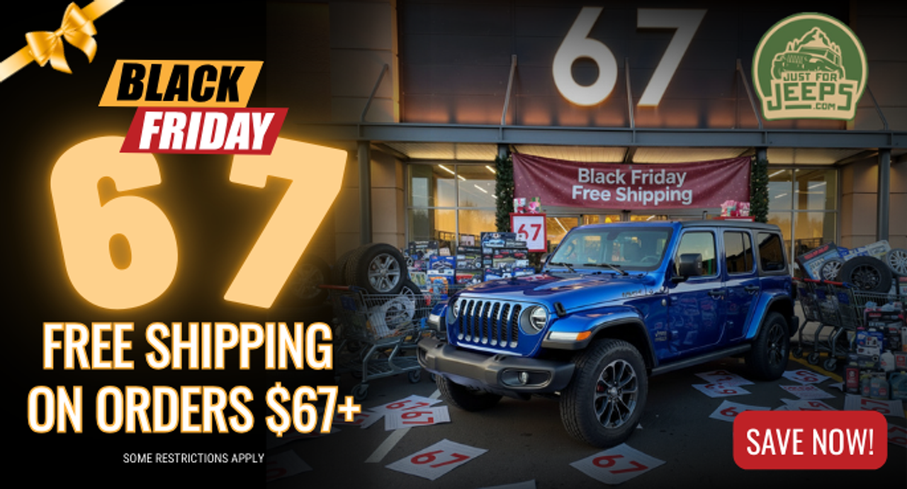 Black Friday Promotion