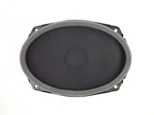 2012-2020 Jeep Grand Cherokee WK2 front door speaker (RCA) - front view of speaker